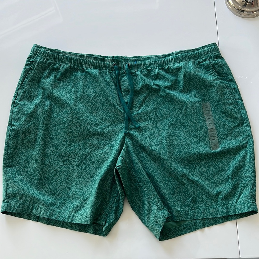 Free Assembly XXXL green shorts